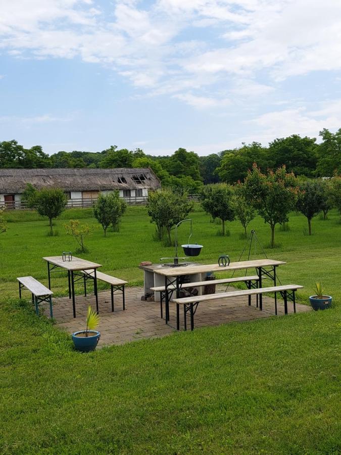 Hedervari Lovas Vendeghaz Exterior foto